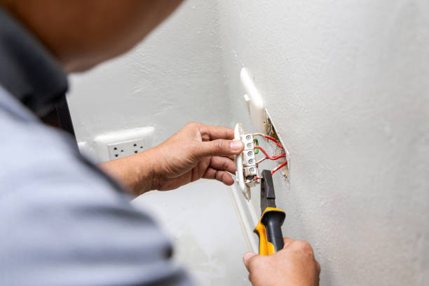 Best Electric Panel Repair  in Greenfield, IL
